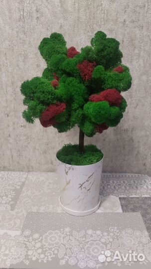 Дерево из стабилизированного мха