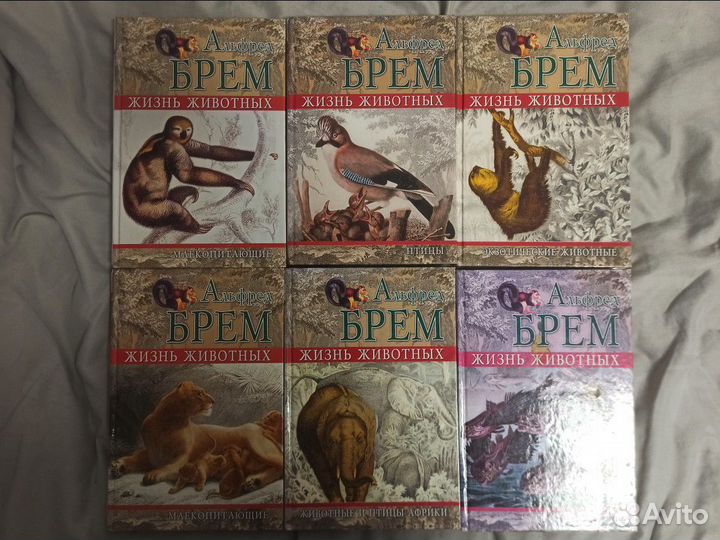 Книги Альфреда Брема 