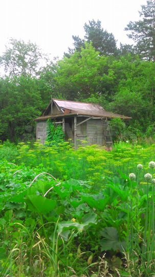 Участок 8 сот. (СНТ, ДНП)