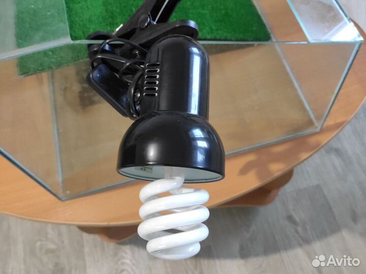 Черепашник