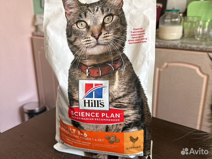 Корм для кошек