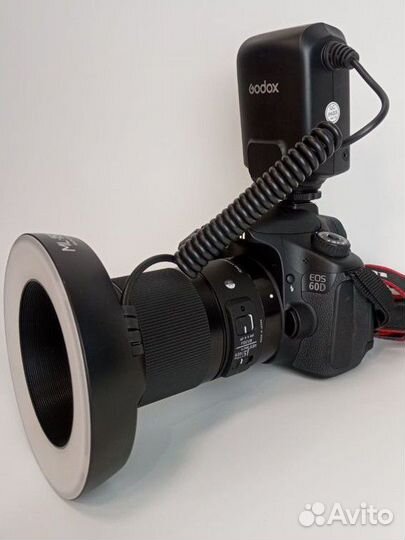 Макро Canon 60D+Sigma 70mm/2.8+вспышка