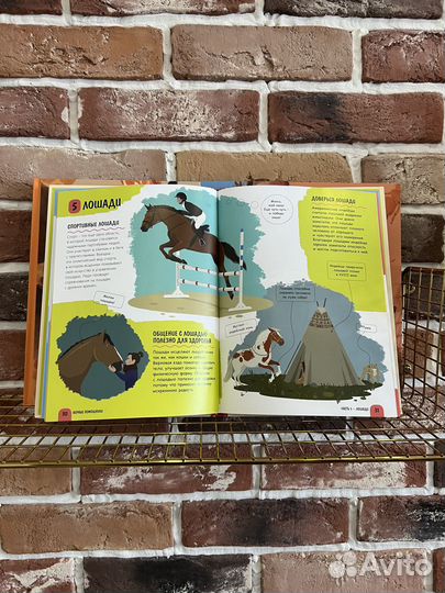 Комплект детских энциклопедий, энас-книга, 4 книги