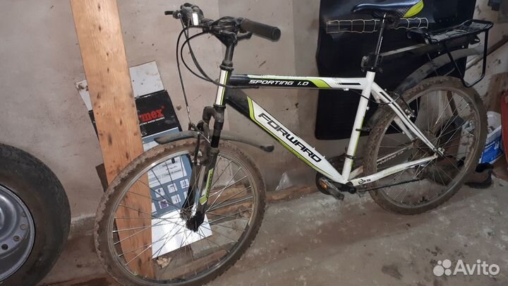 Forward Sporting 1.0