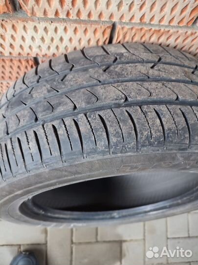 Toyo M65 205/55 R16 и 205/55 R16