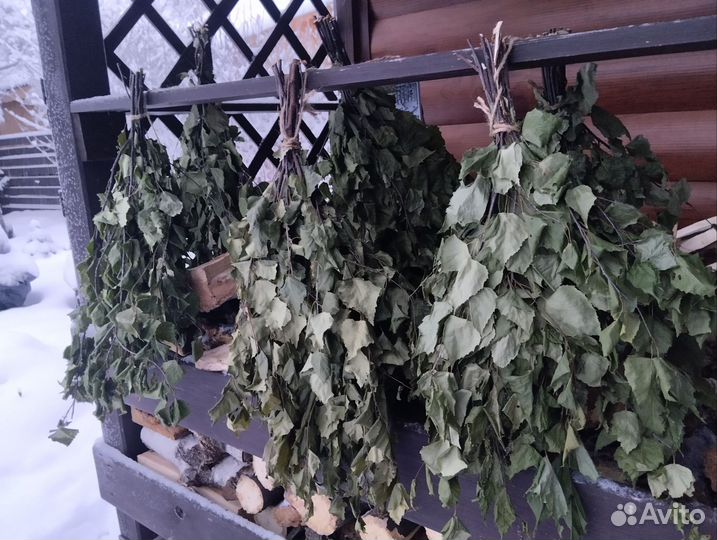 Веник берёзовый для бани