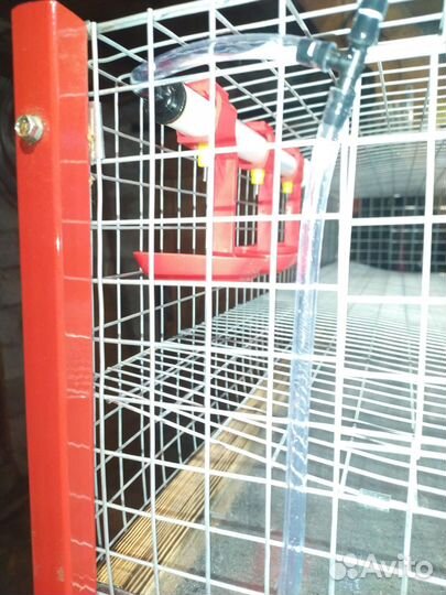Клеточное оборудование для перепелов