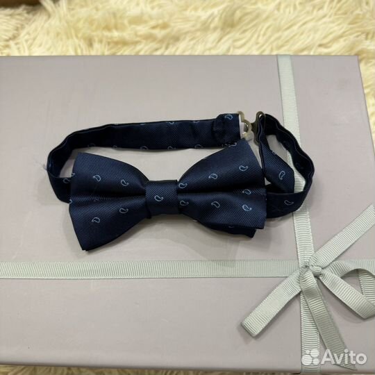 Бабочка мужская