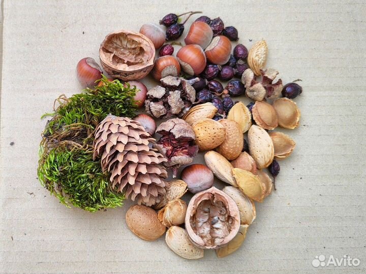 Набор природных материалов