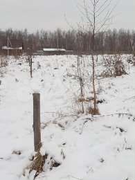 Участок 25 сот. (ИЖС)