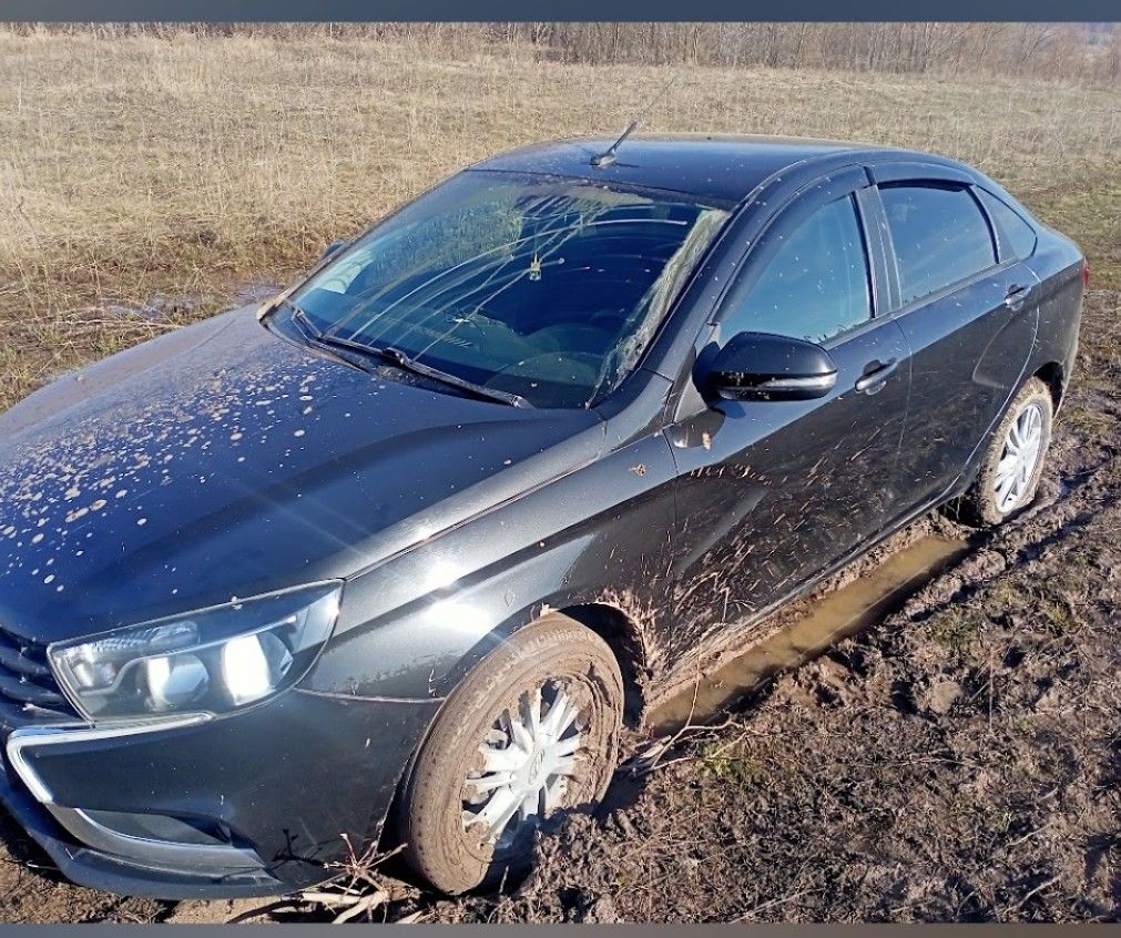 ВАЗ (LADA) Vesta: фото владельца