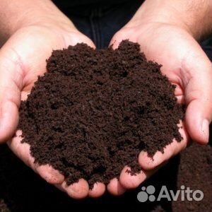 Земля плодородная, чернозем