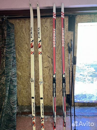 Беговые лыжи