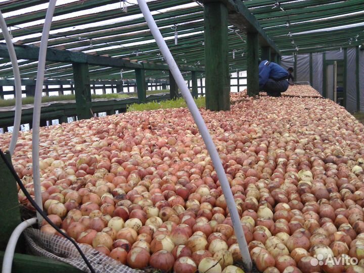 Инвестор или Компаньон