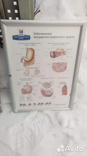 Стойки рекламные бу