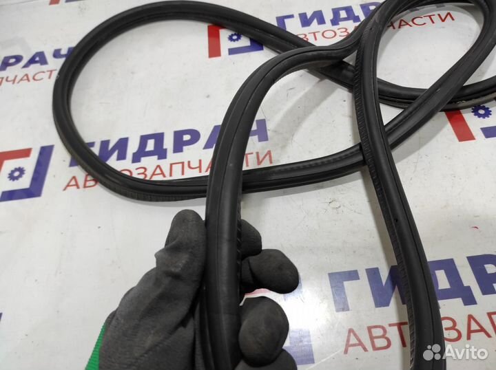 Уплотнительная резинка багажника BMW 6 (F13)