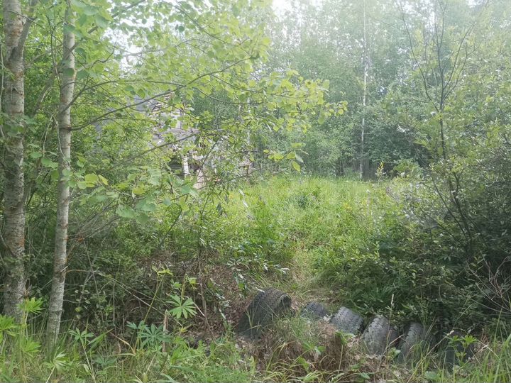 Участок 15 сот. (СНТ, ДНП)