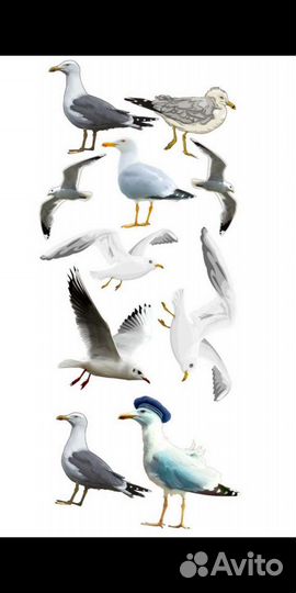 Фотозона(остатки) в морском стиле