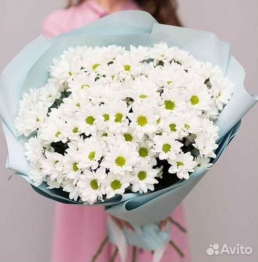 Хризантема Доставка цветов