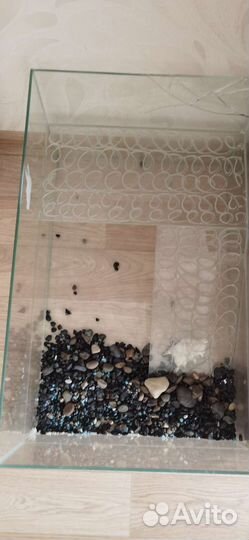 Аквариум Террариум