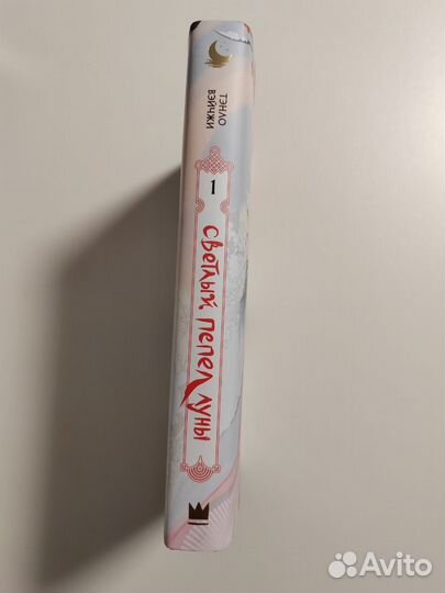 Светлый пепел луны - книга китайская