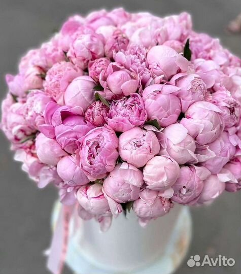 Пионы Букеты Цветы Доставка