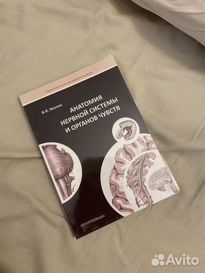 Анатомия нервной системы. ви Козлов