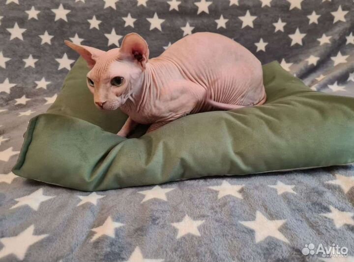 Лежанка для собак