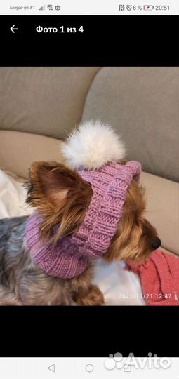 Вязаная одежда для собак и кошек