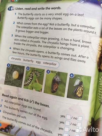 Комплект Super Minds 2