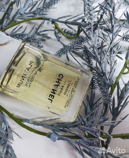 Chanel Egoiste platinum