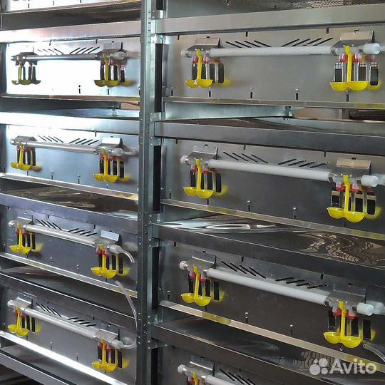 Клетки для перепелов