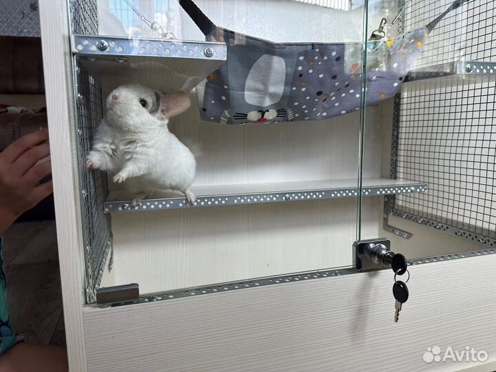 Витрина для шиншилл (новая)