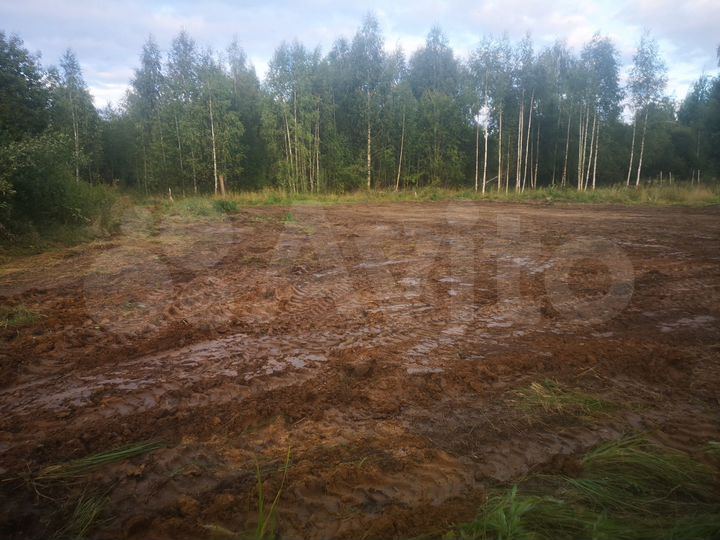 Участок 12 сот. (ИЖС)