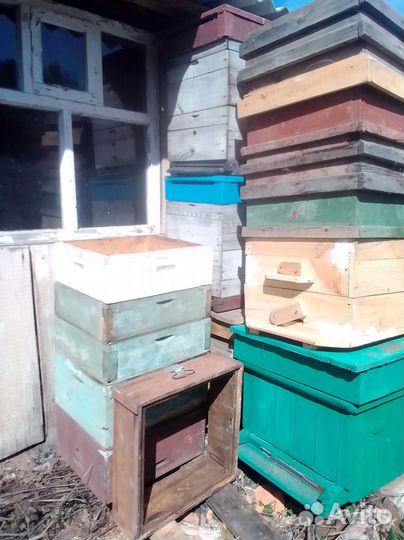 Ульи для пчёл