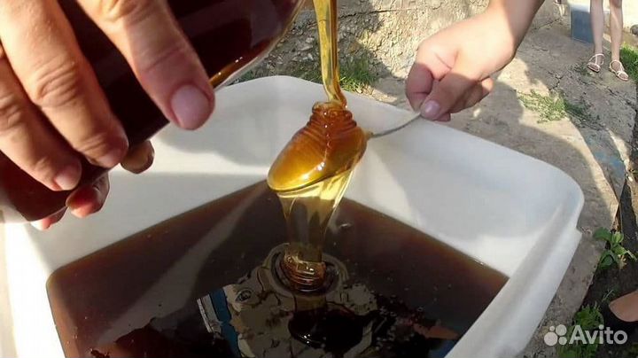 Гречишный мед оптом