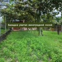 Дом 95 м² на участке 2500 м² (Абхазия), Сухум