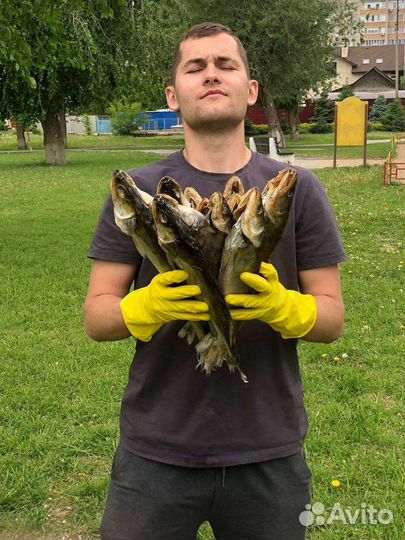 Рыбка Сушёная Судак