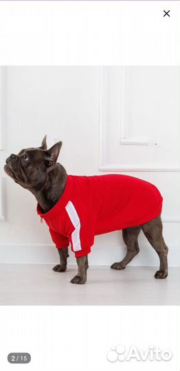 Кофта для собак