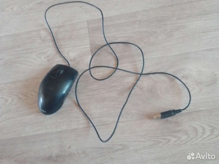 Компьютерная мышь