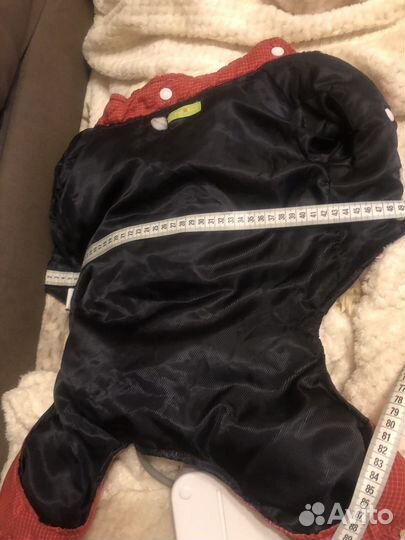 Комбинезон для средней собаки