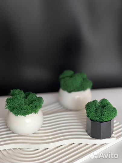 Кашпо из гипса