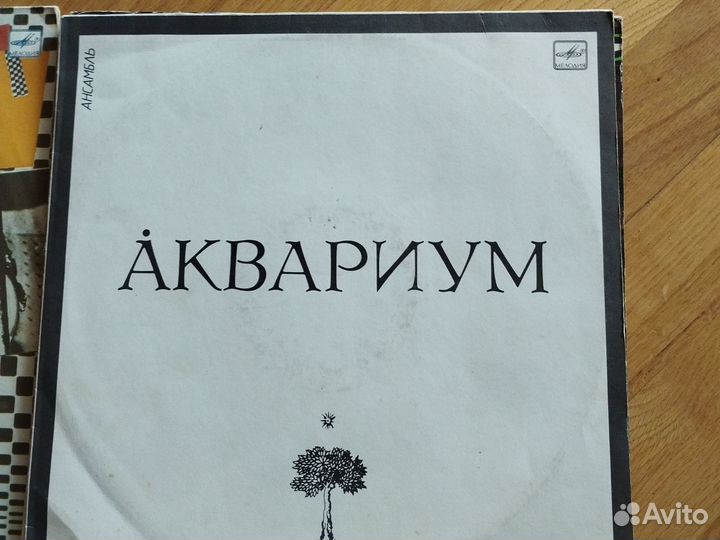 Виниловые пластинки высоцкого