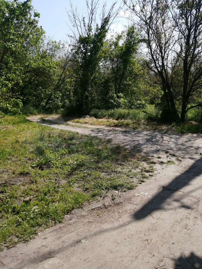 Участок 20 сот. (ИЖС)