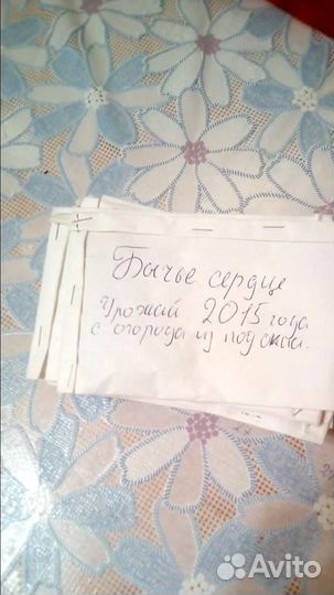 Семена помидор