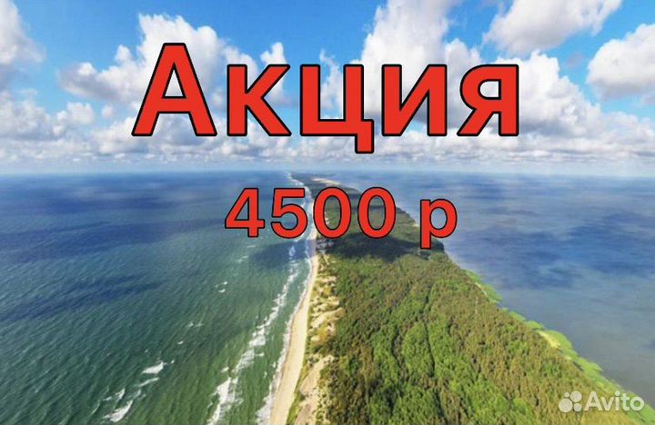 Индивидуальные экскурсии на Куршскую косу