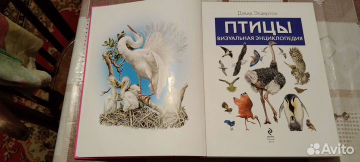 Энциклопедия Книги