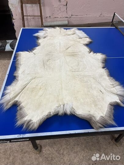 Шкура оленя