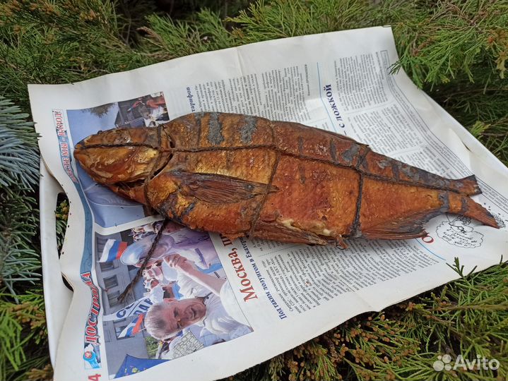 Лещ горячего копчения