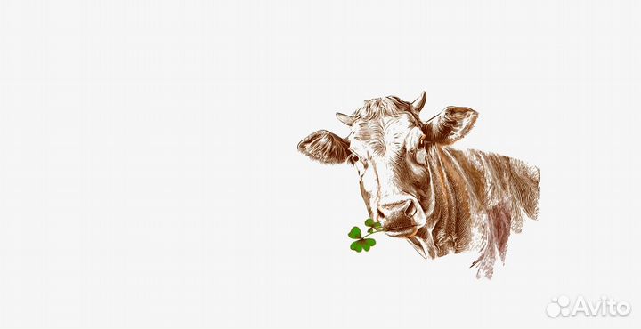 Рабочие в цех по производству молочной продукции